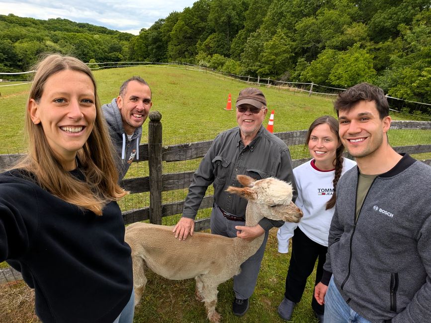 Zu Besuch bei Miro und Cora mit Alpaka "Firendly"
