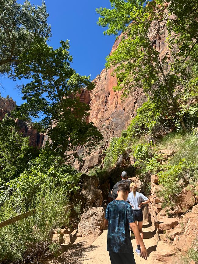 Zion Nationalpark