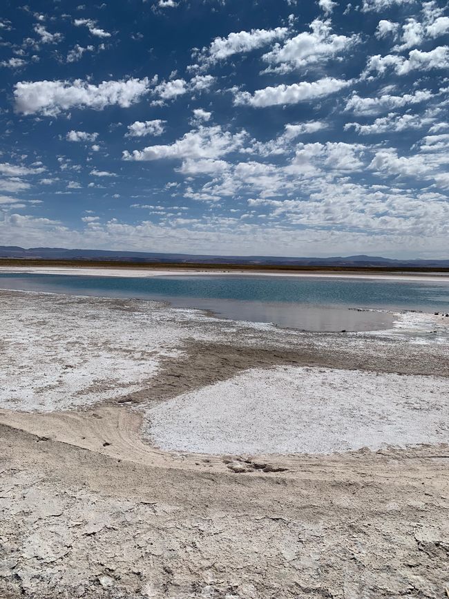 Salzlagune Laguna Cejar