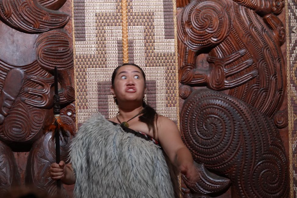 I luoghi del trattato di Waitangi ....