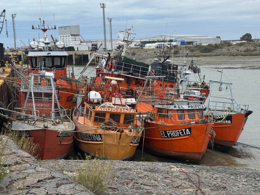 ... they are just staying in the harbour.