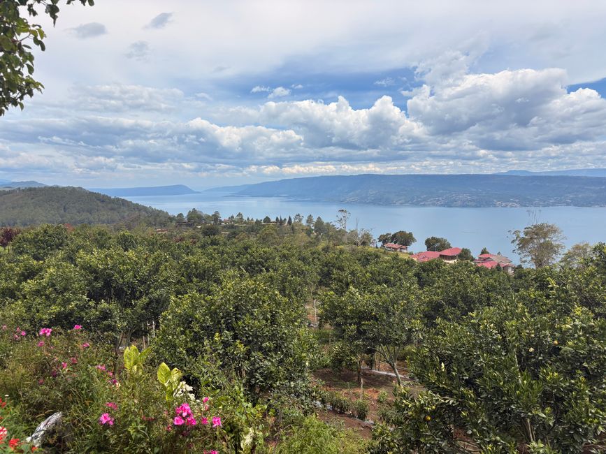 Tuktuk en el lago Toba