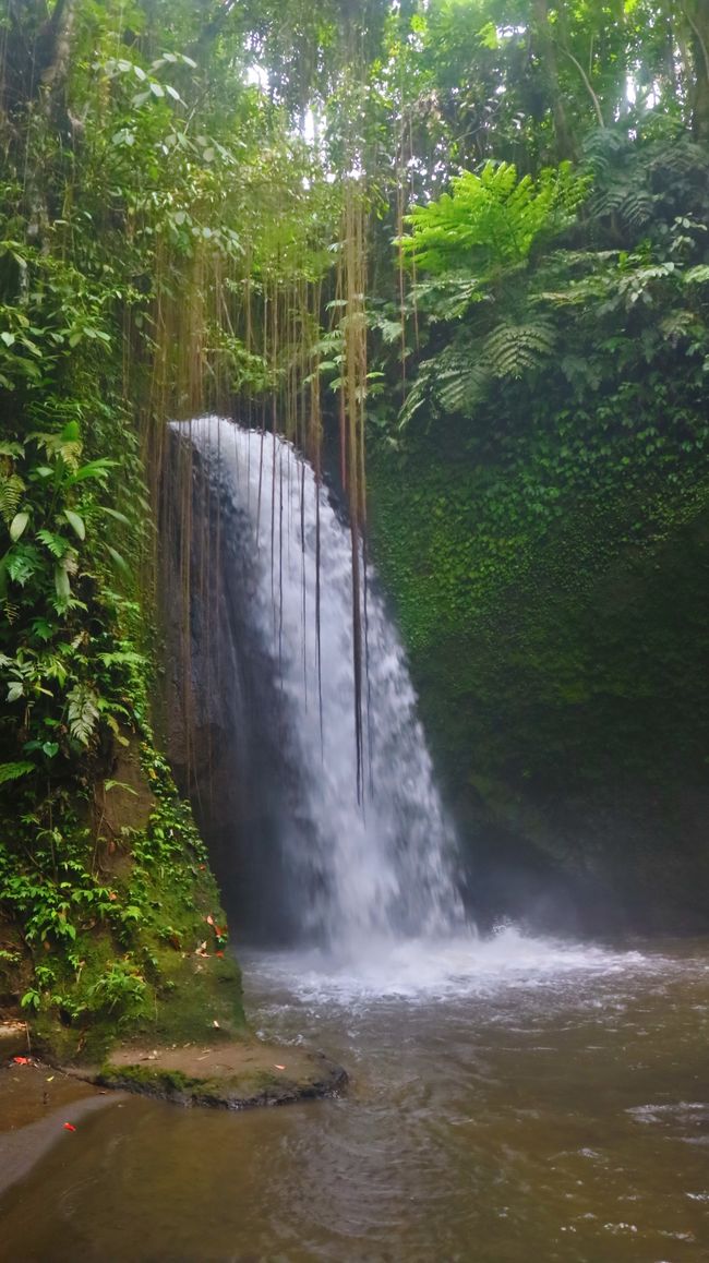 Tagelalang – Ubud – Bali – Indonesia