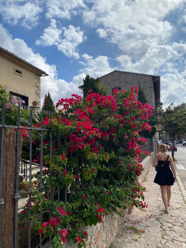 Day 4 Valldemossa/Mallorca