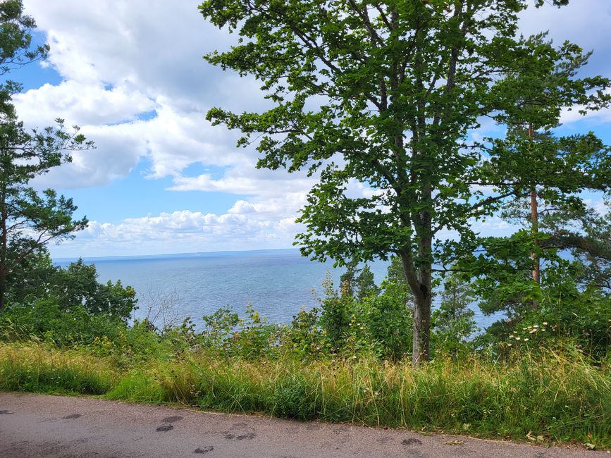 Ausblick Panoramastraße 
