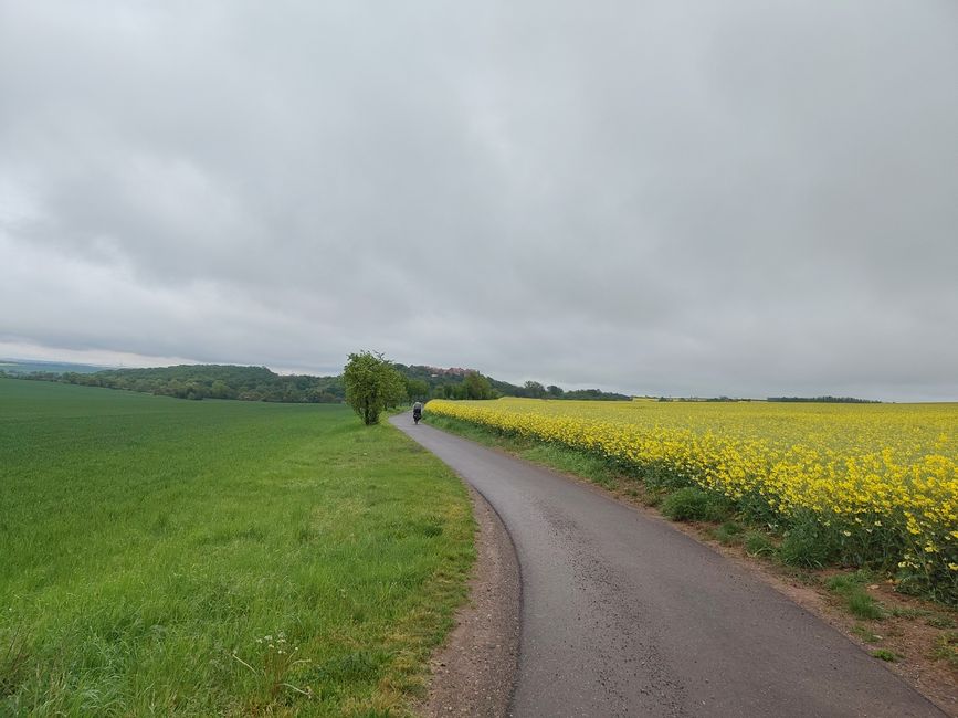 Zur Hälfte ist's farbenfroh