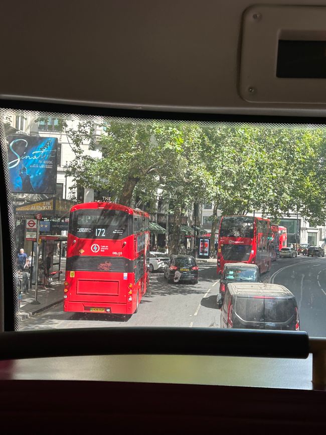 Doppeldecker Bus 🚌 