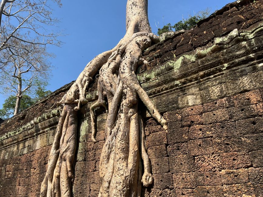 Ta Prohm