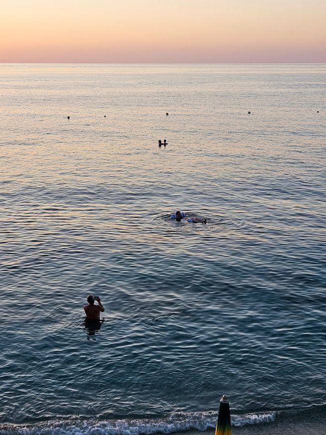 Tropea