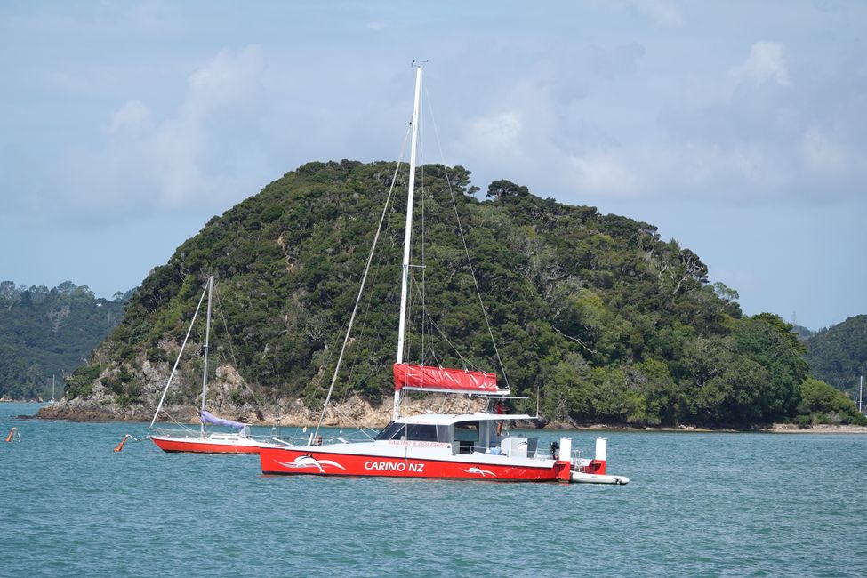 From Whangārei Heads to the Bay of Islands....