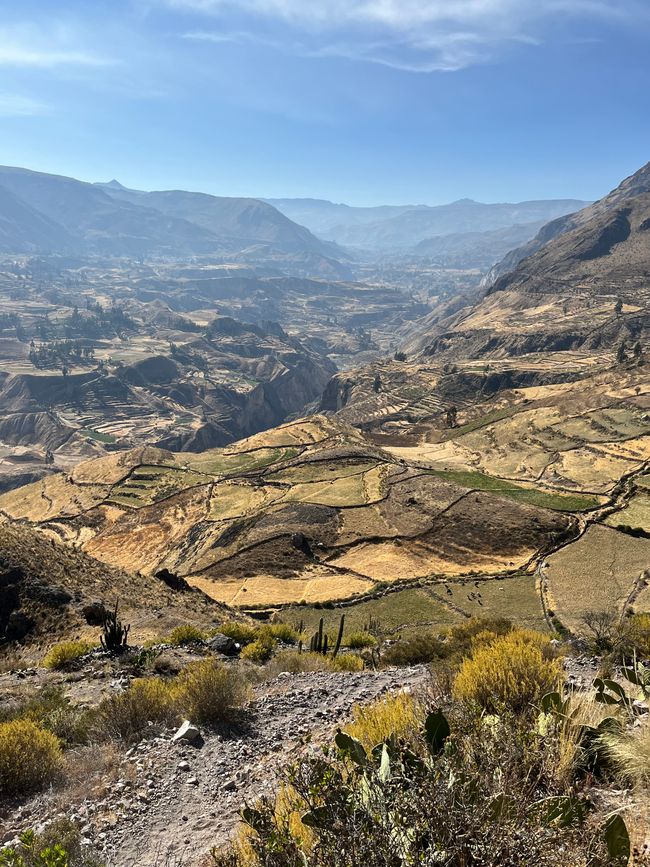 Canyon de Colca