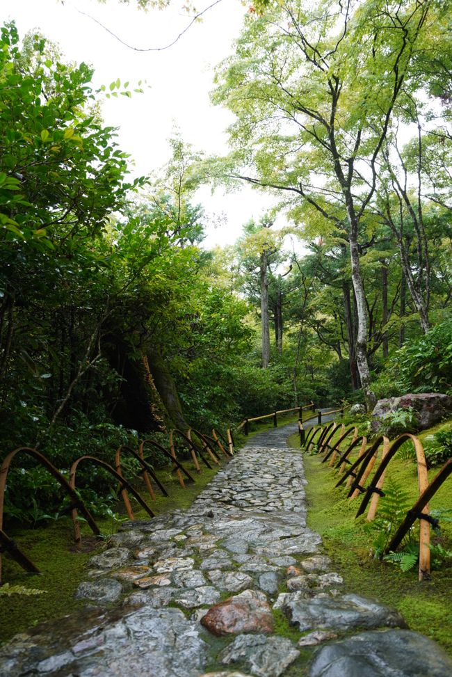 Gartenbesichtigung im regnerischen Kyoto
