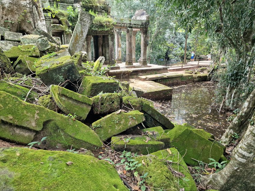 Baphuon und Ta Phrom - Himmelsleiter und himmlischer Ort