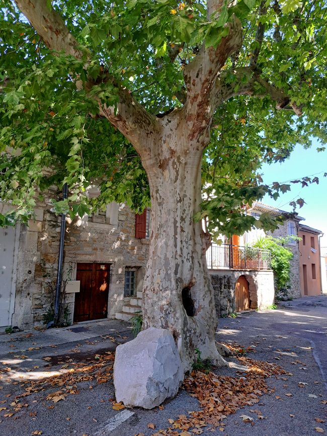 La-Beaume-de-Transit