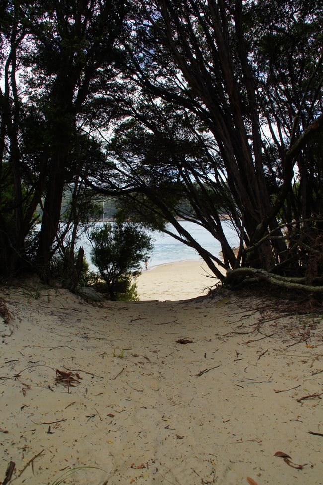 From Refuge Cove to Apollo Bay