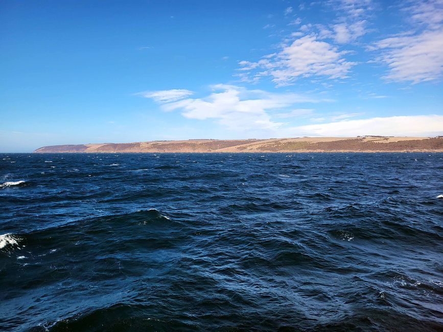 vue sur l'île Kangourou