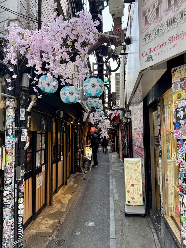 Parte 7
BENVENUTO IN GIAPPONE 🇯🇵
TOKYO