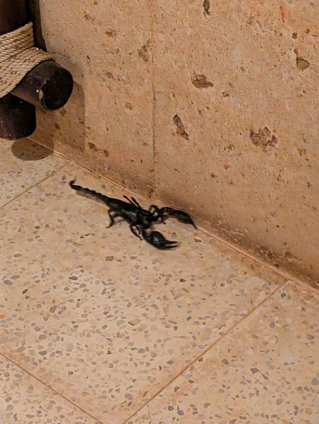 Eine ausgestreckte Hand am Fensterbrett