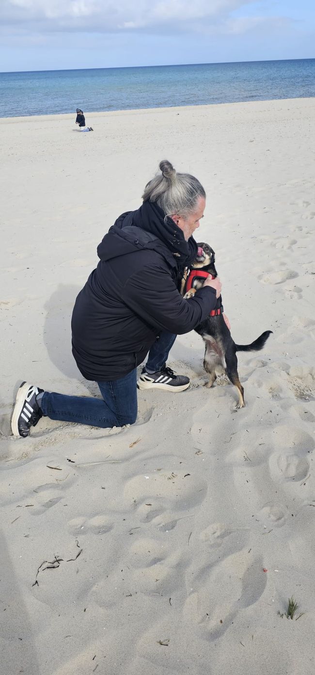 Im Frühling auf Rügen, genauer Baabe 😀