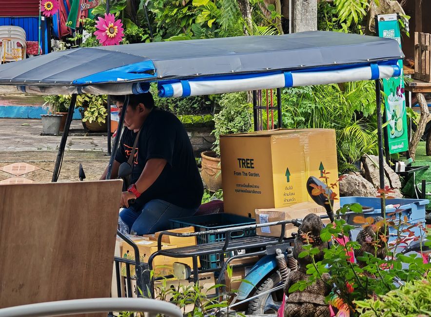 Der Paketbote am Morgen