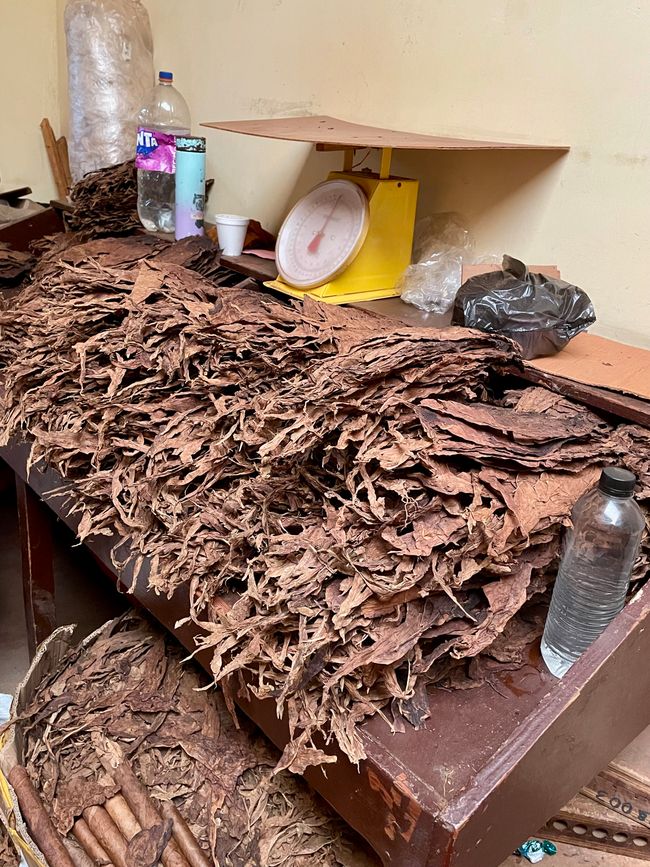 Estelí - klimatisch ein Paradies