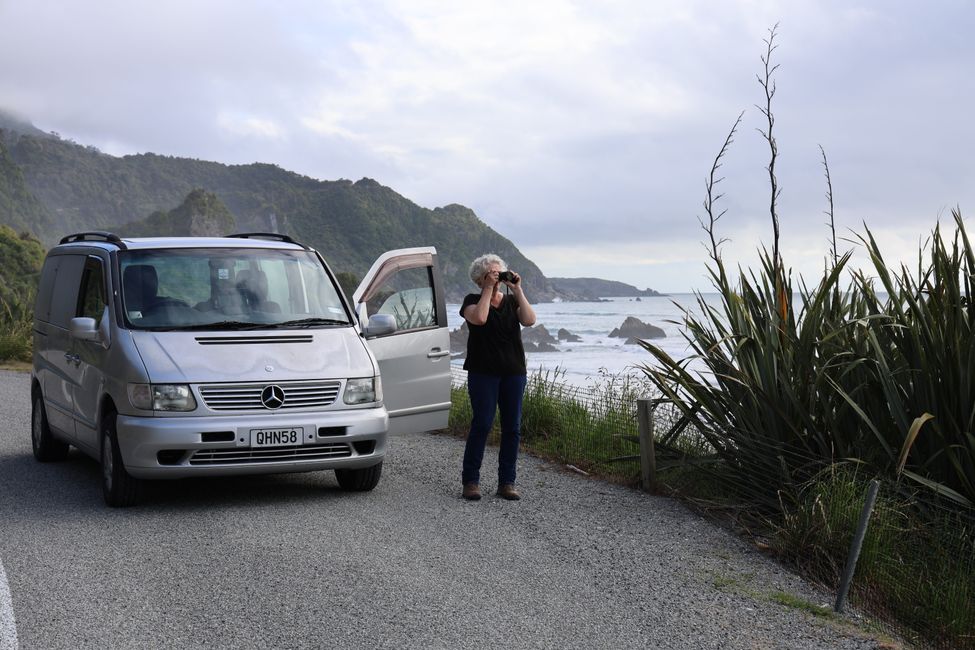 Verso la costa ovest a Westport