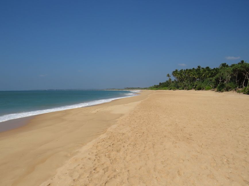 Tangalle - Folie de Plage