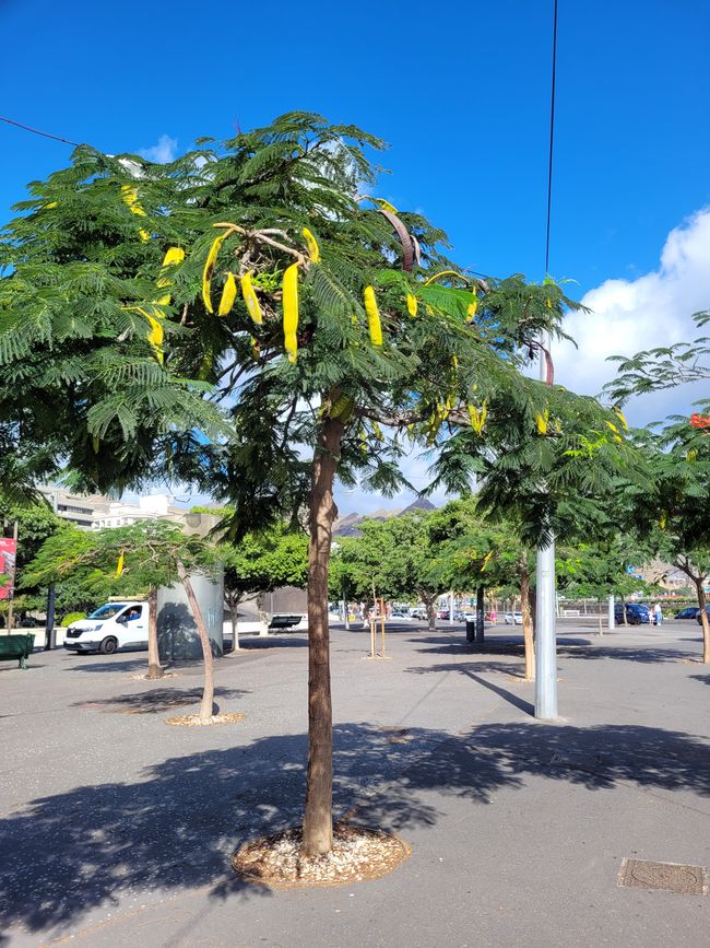 Frühling, Sommer, Herbst und