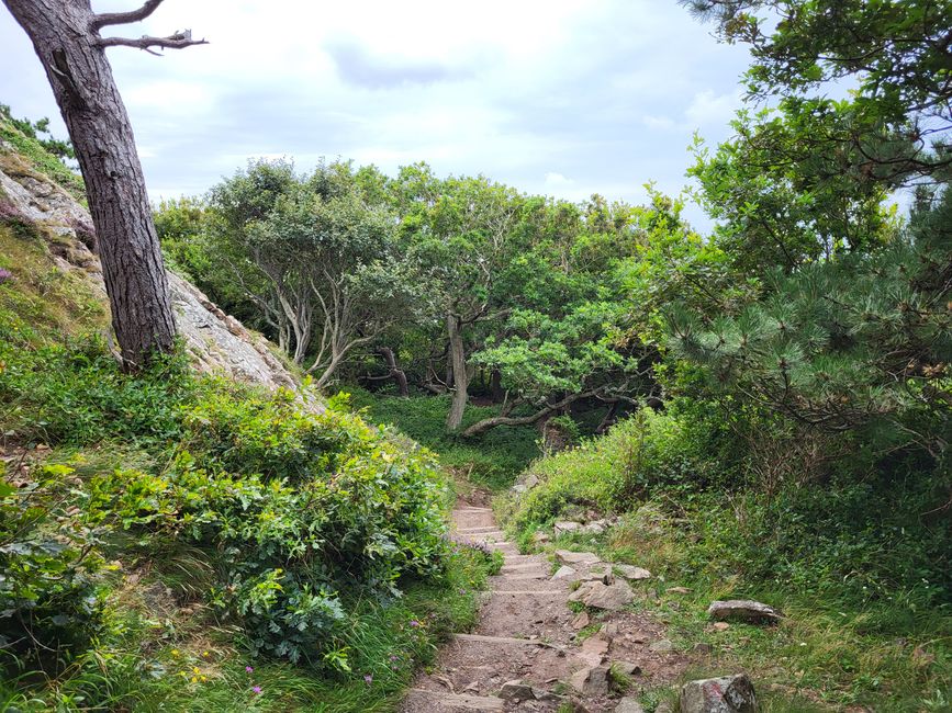 Riserva Naturale Kullaberg