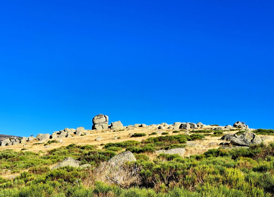 Steine im Lozére