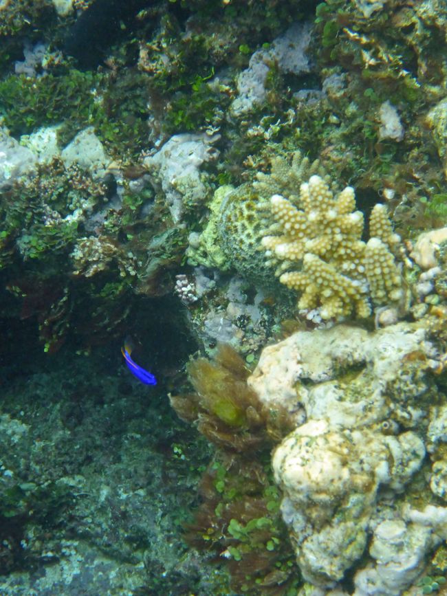 Lomaloma, Insel Vanua Balavu, Fidschi