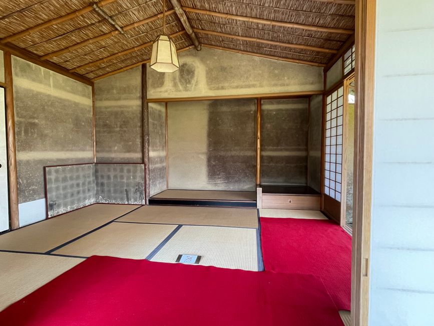 Kyoto-Domingo-06.04.25