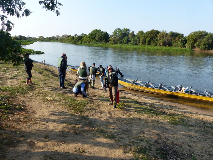 Brazil Pantanal River Cruise