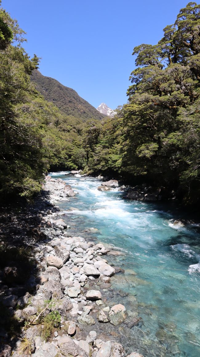 Milford Sound Road