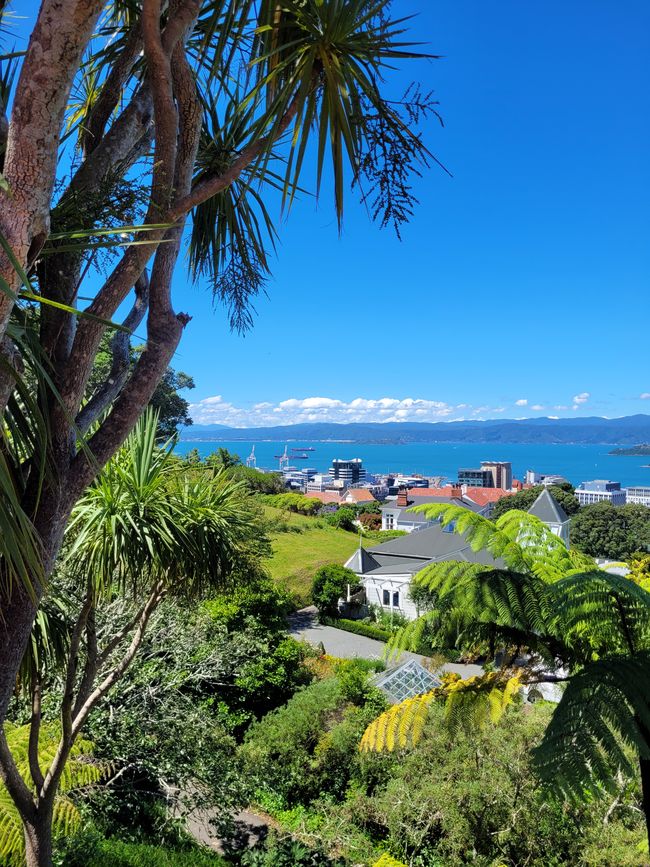 Jour 82 sur 175 : Croisière autour du monde - Wellington/Nouvelle-Zélande
