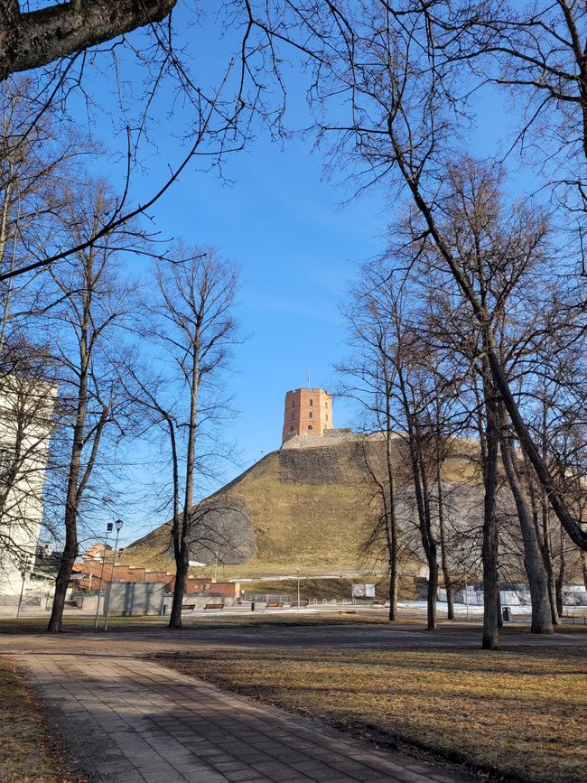 Montag 9. März
Tag 3