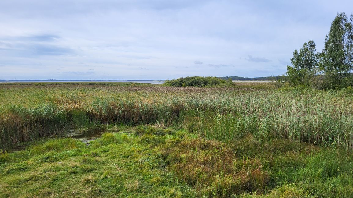 Naturschutzgebiet am See Tåkern