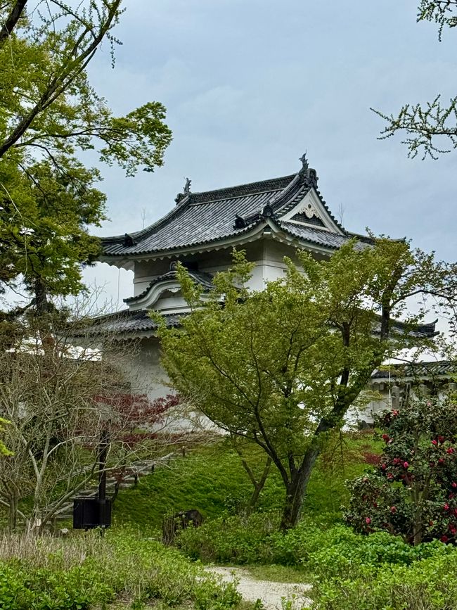 Part 8 Japan 🇯🇵 Kanazawa