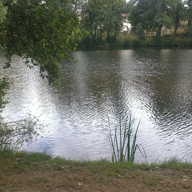 Fotos vom Flussstrand von Puente del Congosto (Salamanca) (Juli 2021)