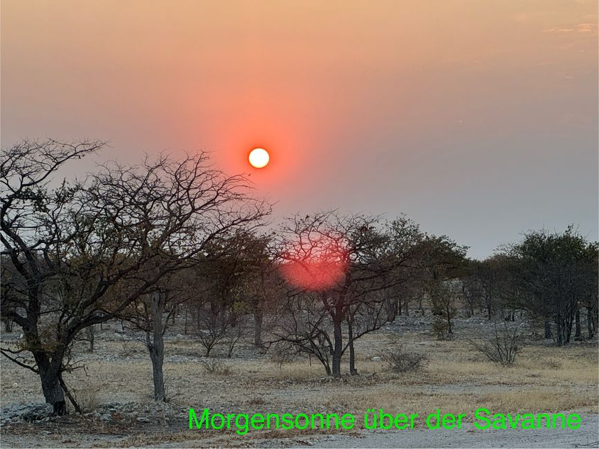 Etosha - wir sind da!