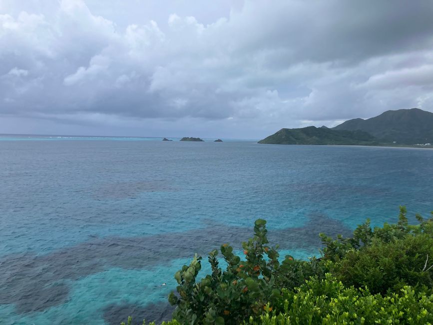 加勒比海的纯粹 - 普罗维登西亚岛