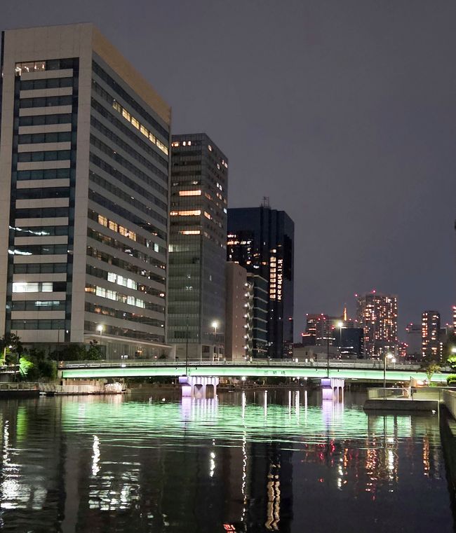 東京にとうちゃく - Arrival in Tokyo