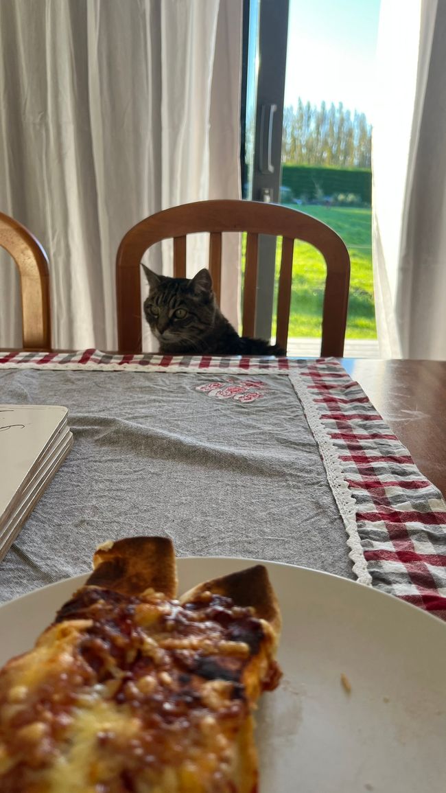 Luna sempre presente durante la cena