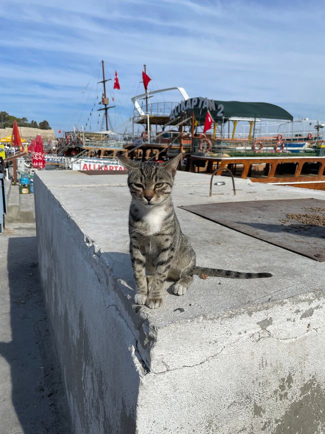 Day 4# Kusadasi, Turkish Aegean