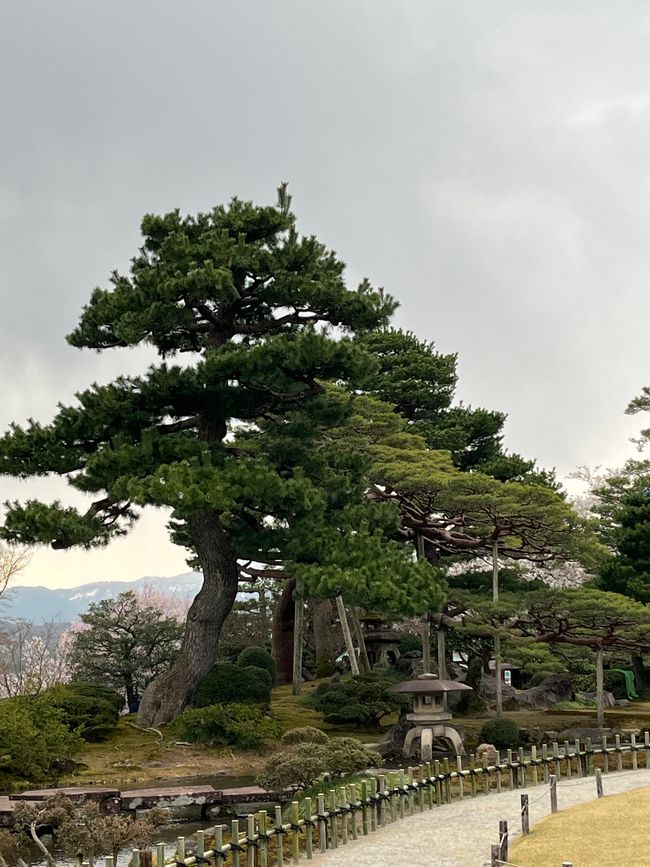 Kenrokuen Garten