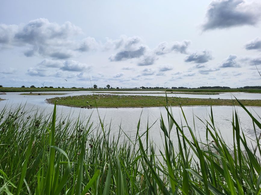 Naturschutzgebiet Wallnau