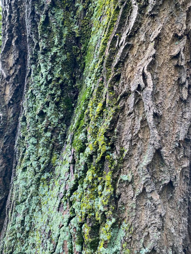 Lets do some Sightseeing