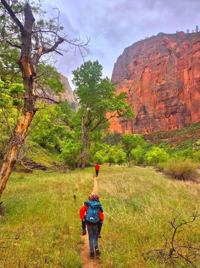 Zion Canyon