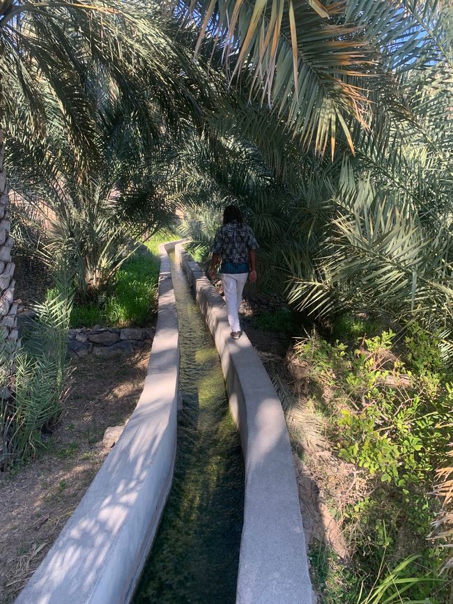 Nizwa e dintorni