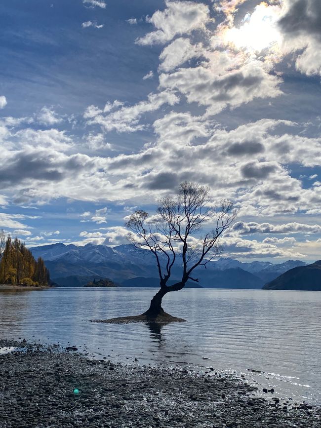 Tekapo, working and off we go